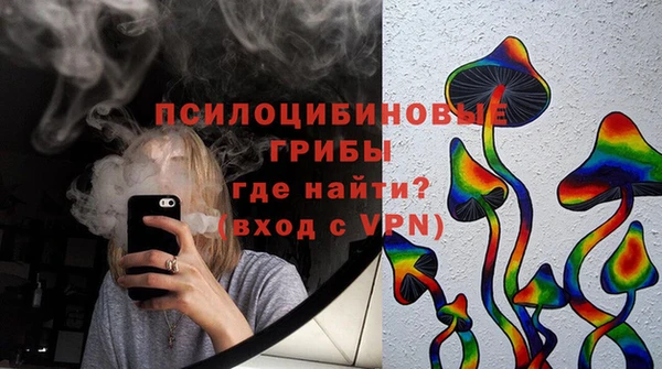 круглые Пересвет